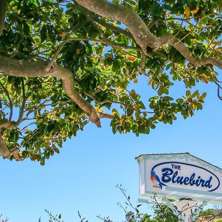 Bluebird Inn Cambria Exterior foto