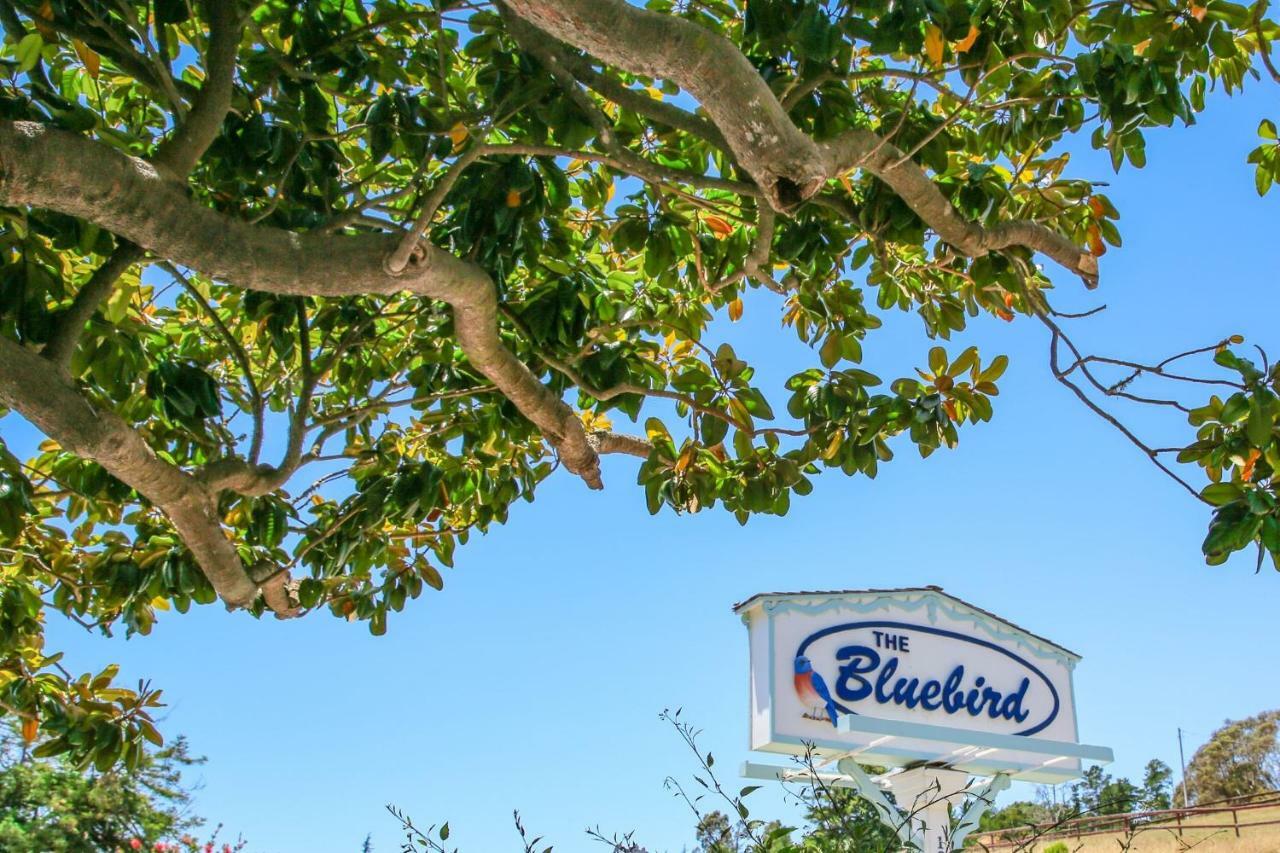 Bluebird Inn Cambria Exterior foto